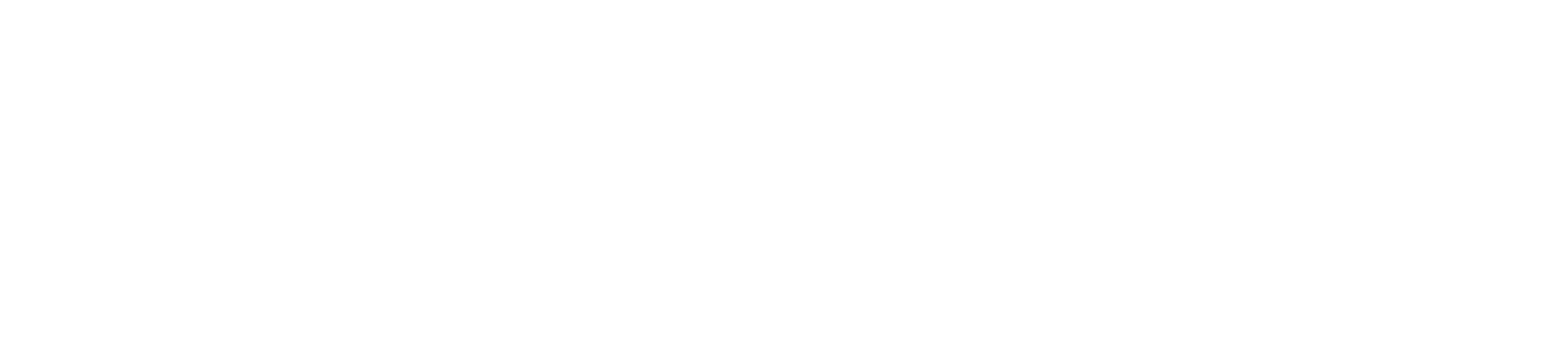 LZG Digital